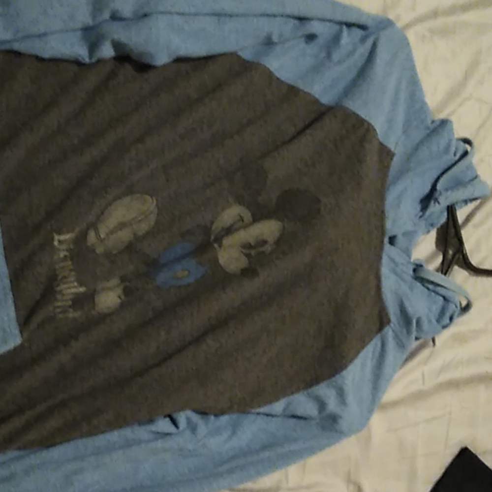 Disneyworld sweatshirt